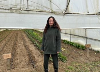 Temiz Gıda nedir? Temiz gıda nasıl seçilir?